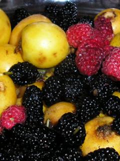 Other Wallpapers 0378